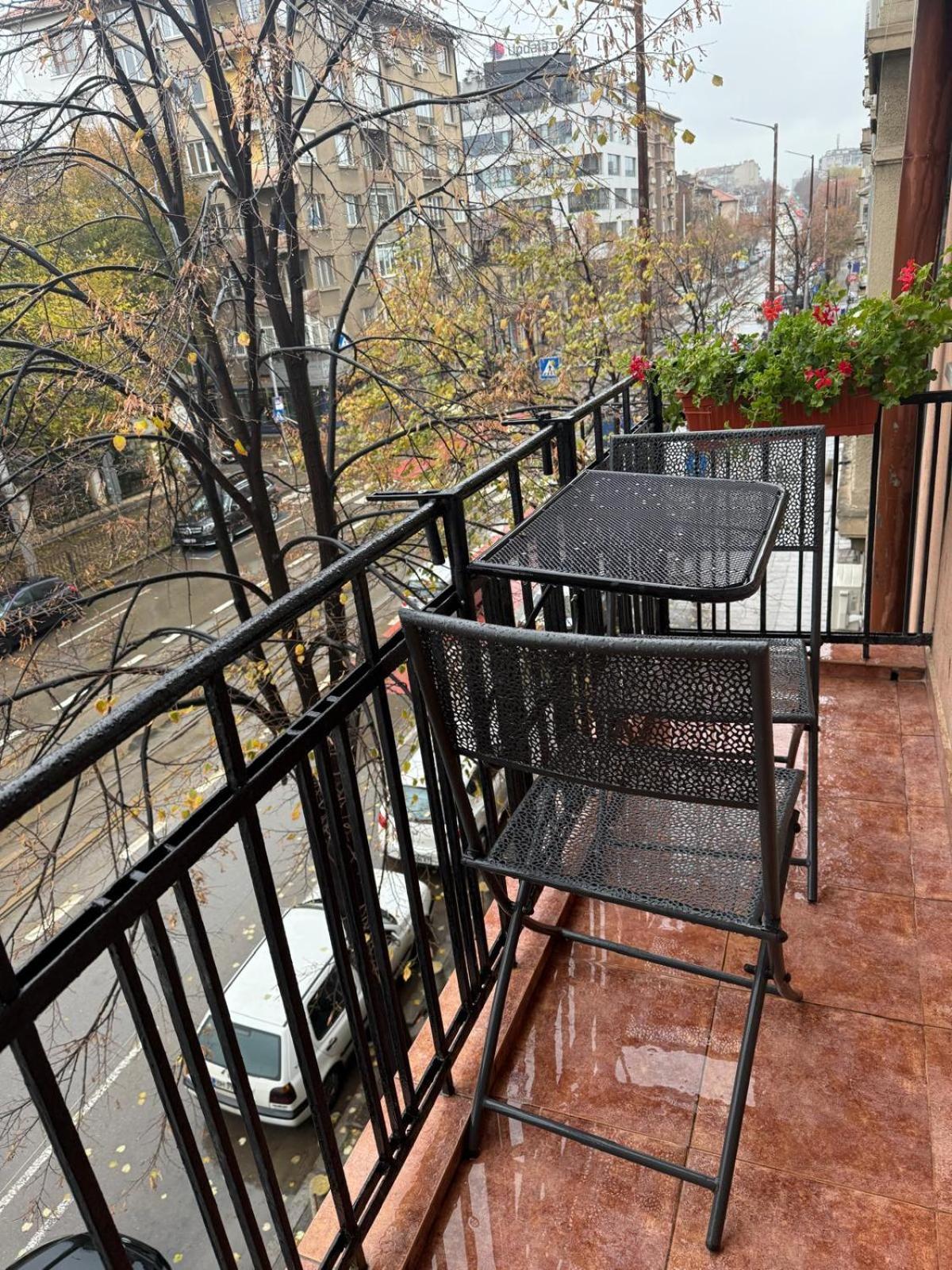 The Maisonette In Sofia's Heart סופיה